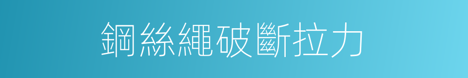 鋼絲繩破斷拉力的同義詞