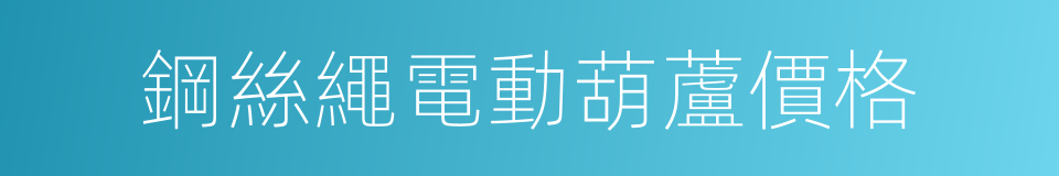 鋼絲繩電動葫蘆價格的同義詞