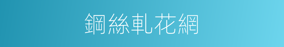 鋼絲軋花網的同義詞