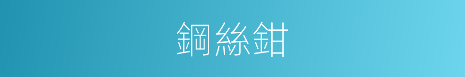 鋼絲鉗的同義詞
