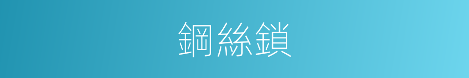 鋼絲鎖的同義詞