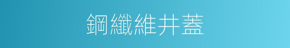 鋼纖維井蓋的同義詞