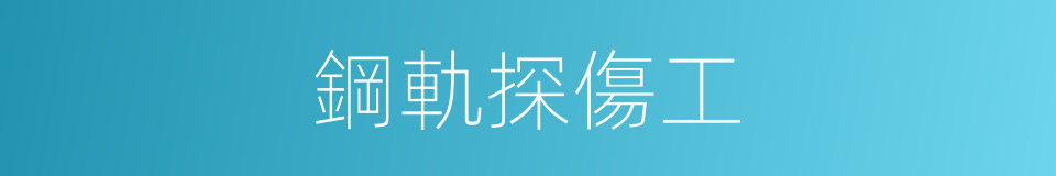 鋼軌探傷工的同義詞