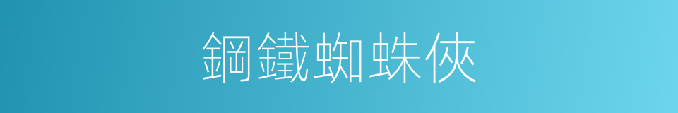 鋼鐵蜘蛛俠的同義詞
