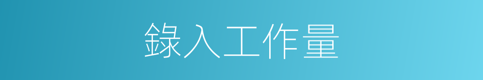 錄入工作量的同義詞
