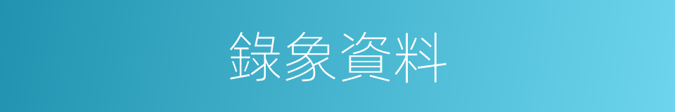 錄象資料的同義詞