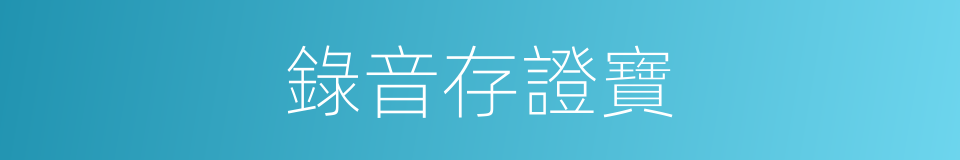 錄音存證寶的同義詞