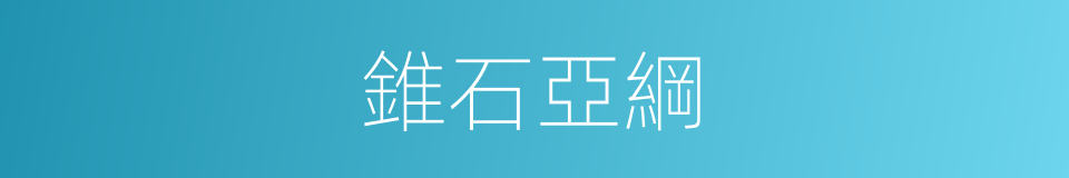 錐石亞綱的同義詞