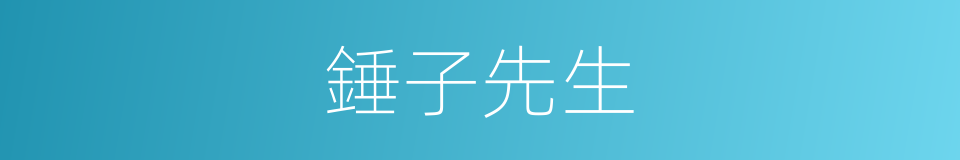 錘子先生的同義詞
