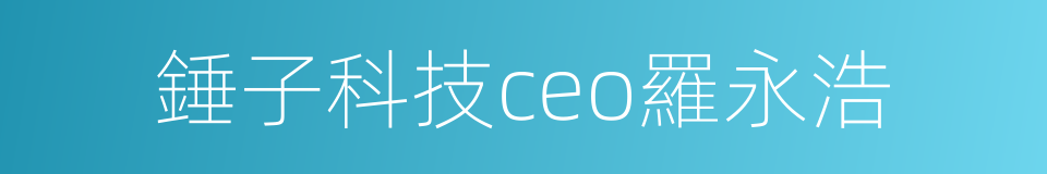 錘子科技ceo羅永浩的同義詞