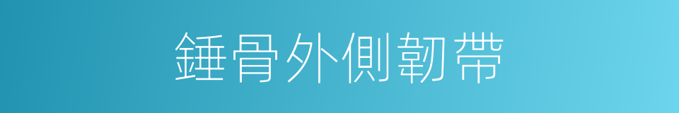 錘骨外側韌帶的同義詞
