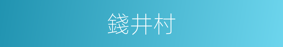 錢井村的同義詞