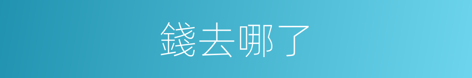錢去哪了的同義詞