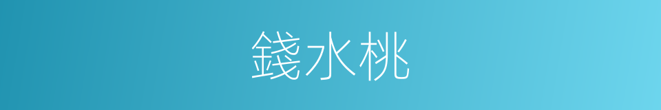 錢水桃的同義詞
