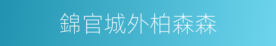 錦官城外柏森森的同義詞