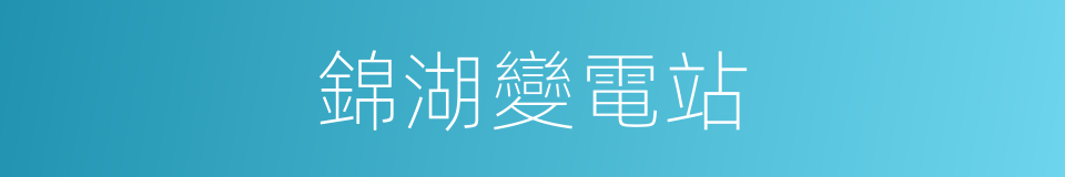 錦湖變電站的同義詞