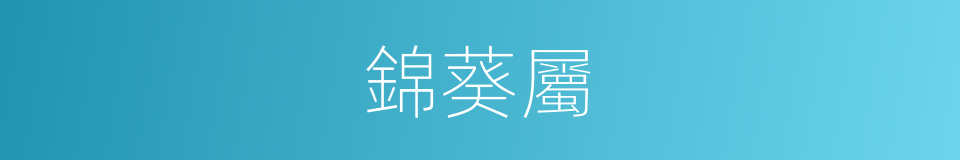 錦葵屬的同義詞