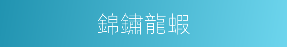 錦鏽龍蝦的同義詞