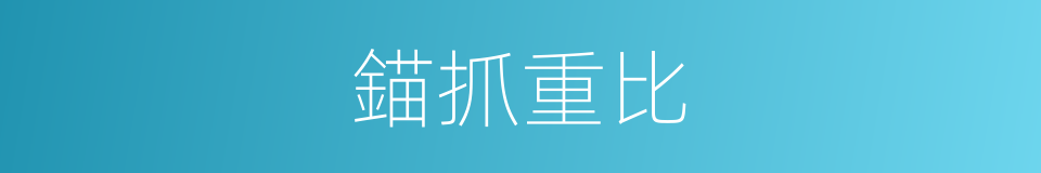 錨抓重比的同義詞