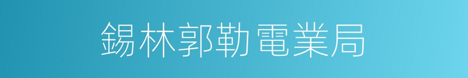 錫林郭勒電業局的同義詞