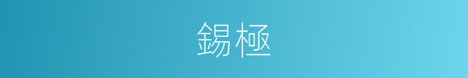 錫極的同義詞