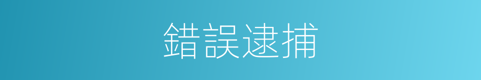 錯誤逮捕的同義詞