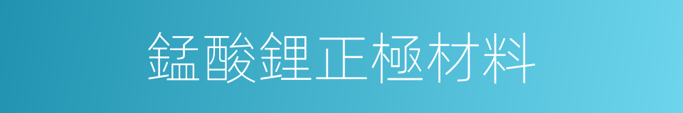 錳酸鋰正極材料的同義詞