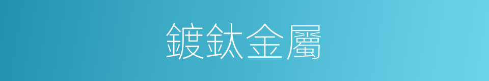 鍍鈦金屬的同義詞