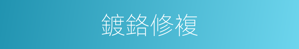 鍍鉻修複的同義詞