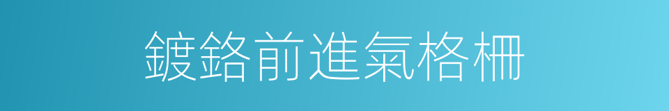 鍍鉻前進氣格柵的同義詞