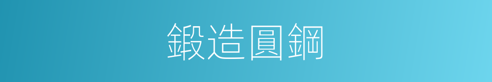 鍛造圓鋼的同義詞