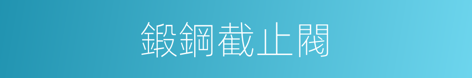 鍛鋼截止閥的同義詞