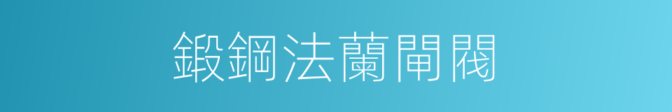 鍛鋼法蘭閘閥的同義詞