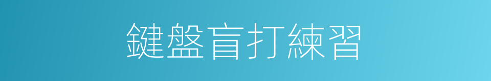 鍵盤盲打練習的同義詞