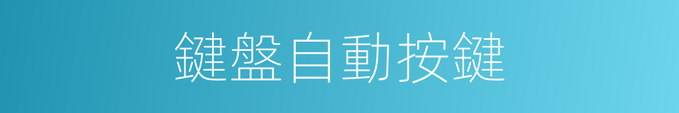 鍵盤自動按鍵的同義詞