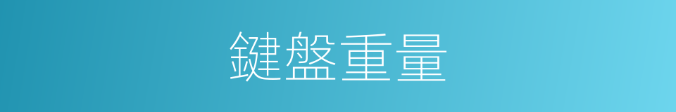 鍵盤重量的同義詞