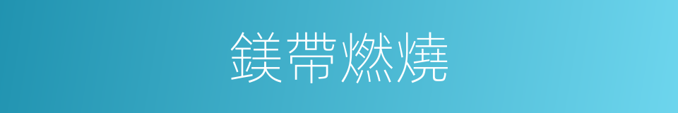 鎂帶燃燒的同義詞