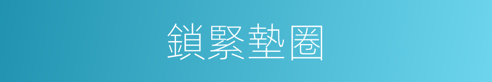 鎖緊墊圈的同義詞