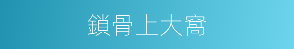 鎖骨上大窩的同義詞
