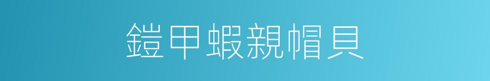鎧甲蝦親帽貝的同義詞