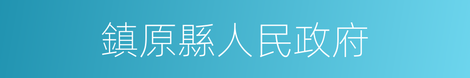 鎮原縣人民政府的同義詞