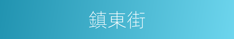 鎮東街的同義詞