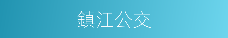 鎮江公交的同義詞
