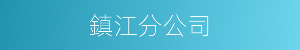 鎮江分公司的同義詞