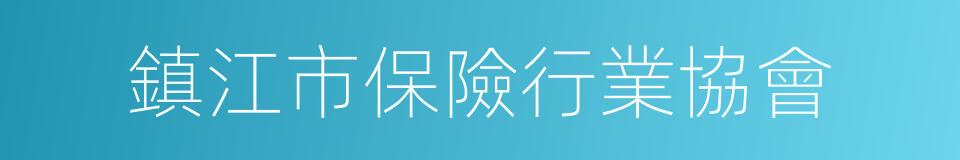 鎮江市保險行業協會的同義詞