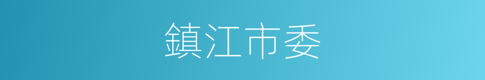 鎮江市委的同義詞