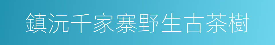 鎮沅千家寨野生古茶樹的同義詞