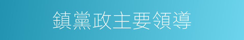 鎮黨政主要領導的同義詞