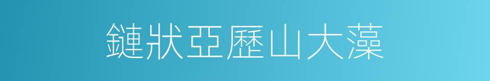鏈狀亞歷山大藻的同義詞