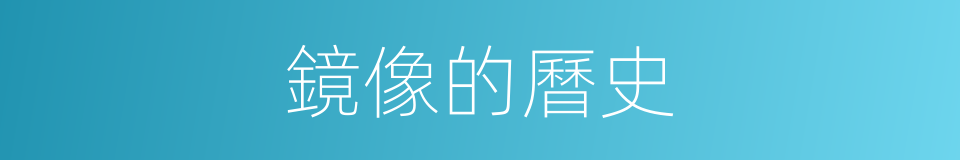 鏡像的曆史的同義詞